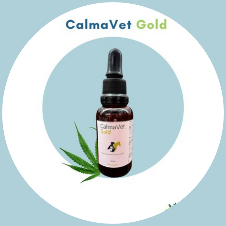 CalmaVet Gold 10% CBD (3000 mg)